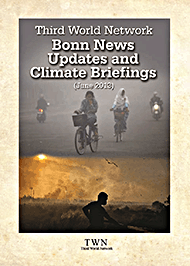 Bonn News Updates and Climate Briefings (June 2013)