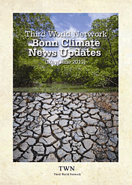 Bonn News Updates and Climate Briefings (2008)