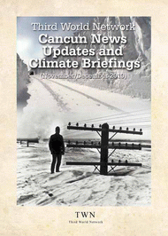 TWN Cancun News Updates and Climate Briefings (November/December 2010)